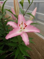 [4203 Marrero CT No102.JPG]